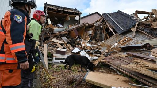 Terremoto en Japón 2024: Elsa perra socorrista 