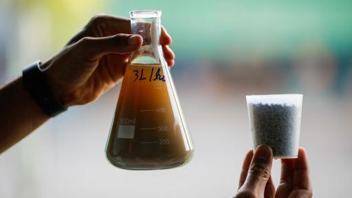 Biopesticidas y agricultura regenerativa en Brasil