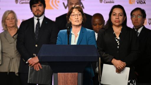 Cese al fuego en Colombia: Consejo de Seguridad de ONU lo apoya 