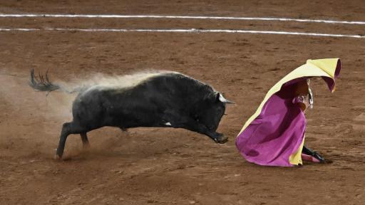 Corrida de toros