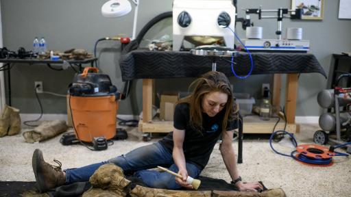 ¿Cómo se restaura un fósil?