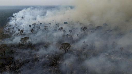 Amazonía: Indígenas están preocupados por incendios