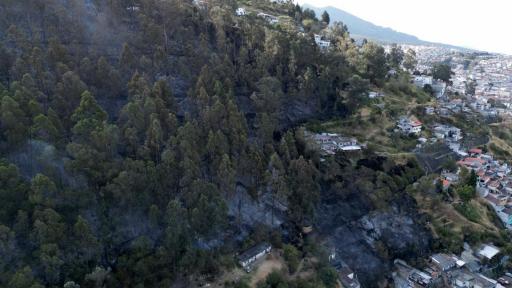 Ecuador: más de mil incendios forestales en menos de un mes