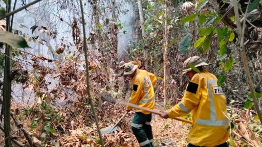 Incendios forestales Bolivia: afectaciones, cuántos casos