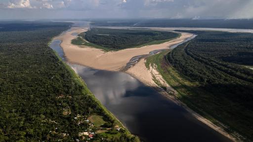 COP16: Inversión de 75 millones de dólares para la conservación de la biodiversidad y lucha contra la deforestación en Colombia