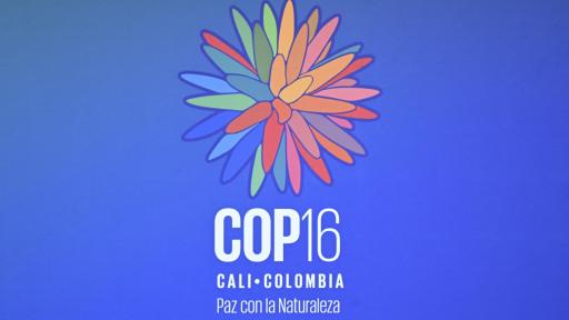 COP16 Inauguración HOY 20 de octubre: dónde ver por RTVC, horario