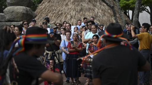 COP16: La ‘Zona Verde’, el corazón vibrante 