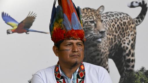 COP16, viernes 25 de octubre. Horarios, eventos y dónde ver en vivo