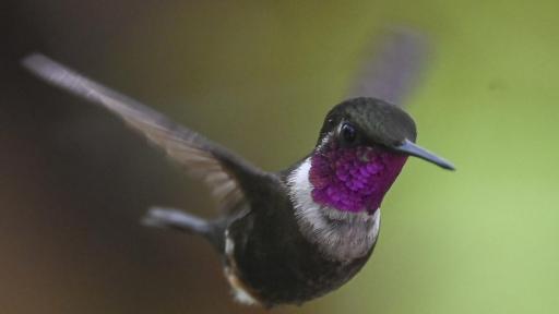 Conceptos clave sobre la COP16: ¿cuáles son?