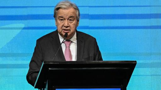 COP16: ONU habla de crisis existencial con la naturaleza