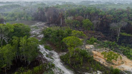 La Amazonía se acerca a un punto de no retorno: causas, consecuencias y amenazas ambientales
