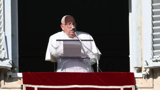 Papa pide que por la paz