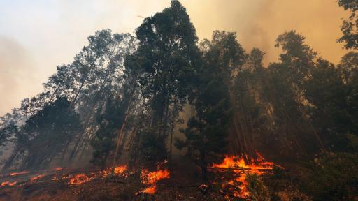 Informe fenómenos climáticos América Latina