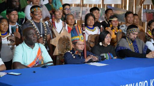 Indígenas contra el extractivismo y por la naturaleza