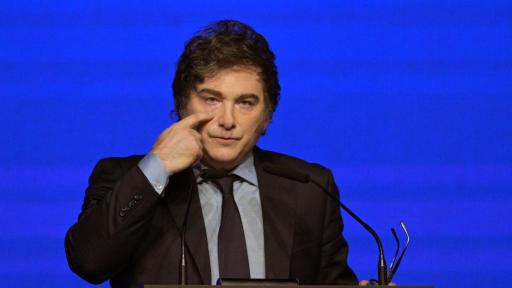 Polémica en Argentina: Milei usó imagen de niño autista y deberá dar explicaciones legales