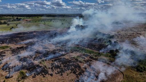 Día Internacional contra el Cambio Climático: rumbo a la COP30 en Brasil