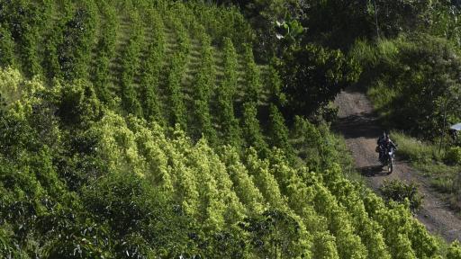 Presidente Petro resalta lucha contra las drogas en su Gobierno 