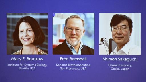 Premio Nobel de Medicina 2025 premia hallazgos sobre el control del sistema inmunitario