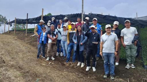 En Caldono, Cauca, campesinos e indígenas cultivan el café para la paz