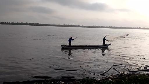 Día Mundial Medio Ambiente 2024: retos de la pesca en Colombia 