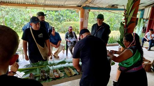 Emprendedores del Putumayo transforman el chontaduro en fuente de empleo y desarrollo local