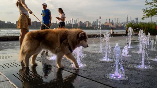 2023 en cifras: 10 récords que marcaron el año 