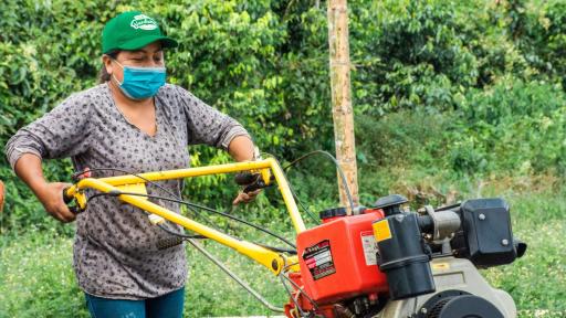 Cultivos agroecológicos en Cauca 
