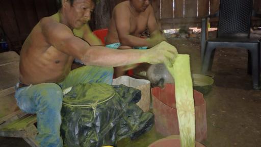 Tradiciones ancestrales indígenas Murui Muina y Carijona