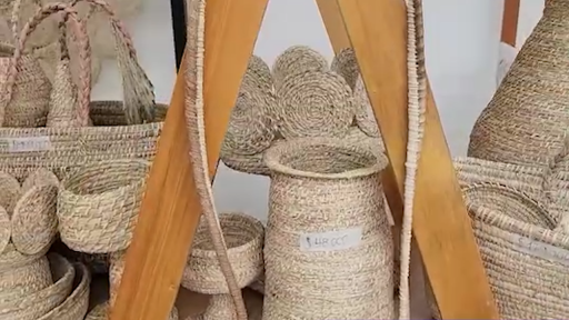 Jóvenes Ciencia para la Paz Tumaco: emprendimiento Eimar Arte, Innovación