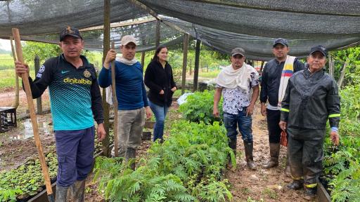 Día Mundial del Medio Ambiente: viverismo en San Vicente 