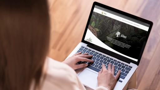 Crecimiento de empresas lácteas y cacaoteras: convocatoria 