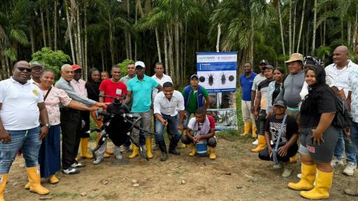 estrategias para mitigar el problema fitosanitario 