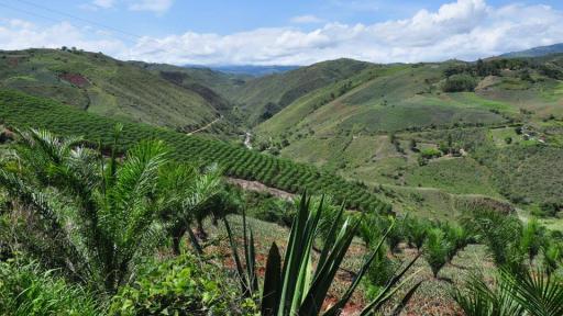 Ataque de las Farc a civiles en  Dagua, Valle del Cauca