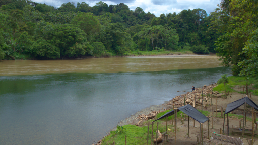 Confirman condena por daño al Río Anchicayá
