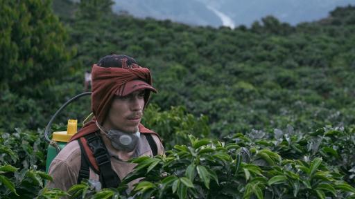 La Roya, la nueva película de Juan Sebastián Mesa, abrirá el Ficci 2022