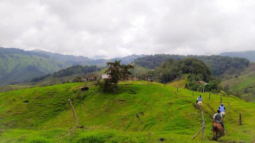 Calamidad pública en municipio de Tolima por Fenómeno de El Niño