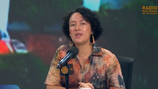 Isabel Zuleta denuncia trabas judiciales a proyectos de paz en Colombia