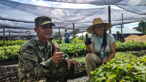 Campaña ambiental en el Meta: siembra árboles y contribuye al cuidado del medio ambiente