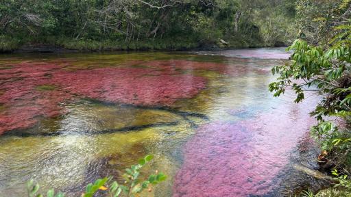 La Cachivera, corazón del turismo natural en La Macarena 
