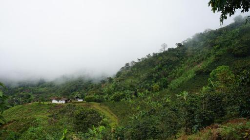 Datos claves del Acuerdo de Paz siete años después de su firma