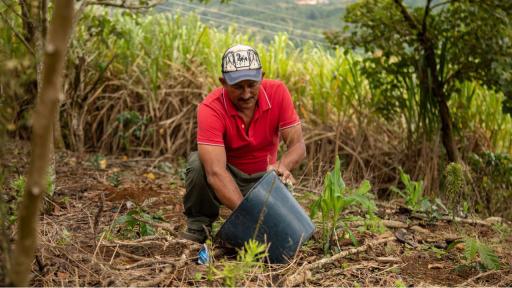 Entrega de tierras a campesinos de Montes de María, Argos