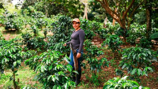 Incremento agroexportaciones en abril 2024