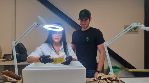 Marihuana colombiana se exportará legalmente a Macedonia del Norte 