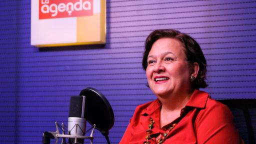 Comités en apoyo a las reformas sociales