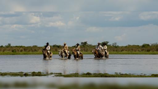 Serie La Vorágine: ¿Dónde ver gratis y cuántos capítulos tiene?