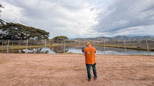 Campesinos de Tuluá reciben tierras de alias ‘Don Diego’ para agricultura