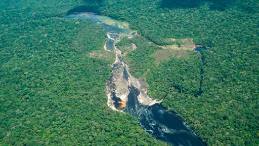 Guardiana de Chiribiquete: la nueva zona de reserva campesina en Guaviare