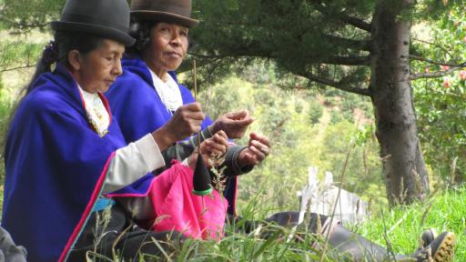 Premio a docente de UniCauca por protección de lenguas indígenas