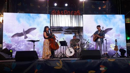 Músicos colombianos emergentes: Viajeros, Música y Camino 