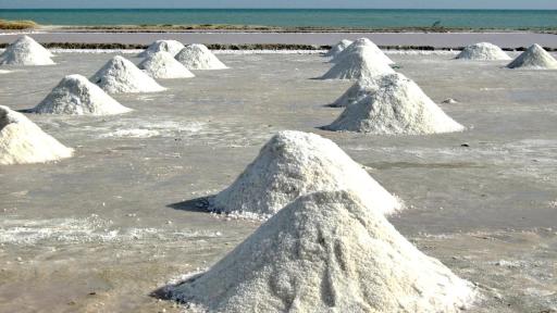 Ley para salvar y reactivar las Salinas Marítimas de Manaure es aprobada en el Congreso 
